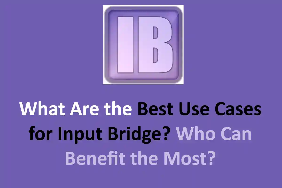 What Are the Best Use Cases for Input Bridge? Who Can Benefit the Most?
