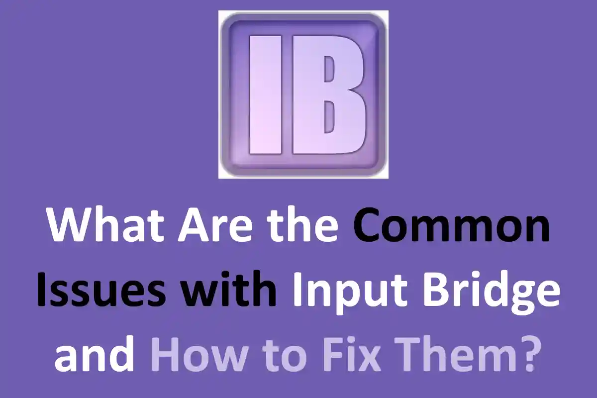 What Are the Common Issues with Input Bridge and How to Fix Them?